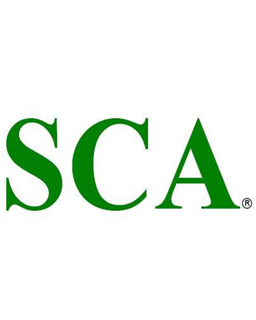 SCA时间序列分析软件